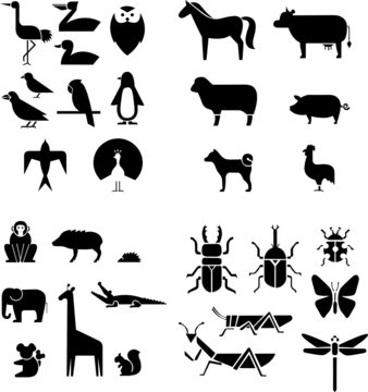 animals group vector
