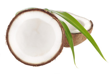kokosnuss
