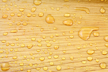 pluie sur écorce de palmier
