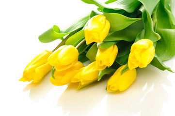 Obraz premium Tulipany