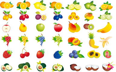 Fruits vector