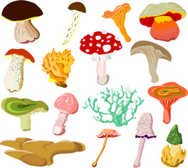Plakat Set of mushroom icons
