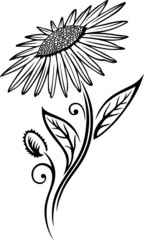 black art, Blume, Bl&uuml;te, Ranke, floral, filigran