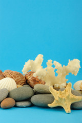 Obraz na płótnie Canvas Starfish and set of objects of the sea underwater world