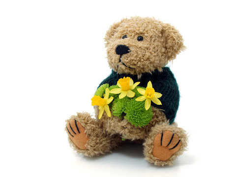 Teddy Bear