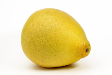 PAMPLEMOUSSE CHINOIS (#2) - - - Marché - 21 mopix