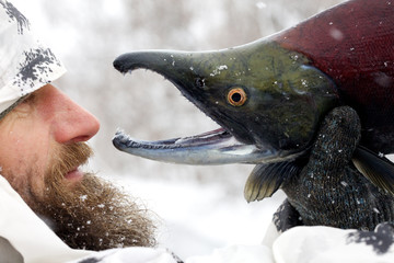 The man with a salmon