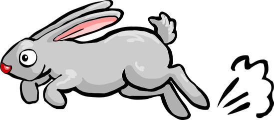 runnug rabit funny