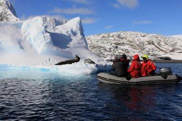Selbstklebende Fototapete Antarktis Die Menschen in Dinghy sind sehr nahe an sehr gefährlichen Seeleoparden