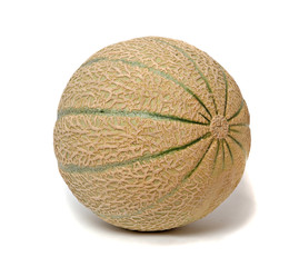 melon isolated on white background