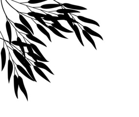bamboo, vector illustration