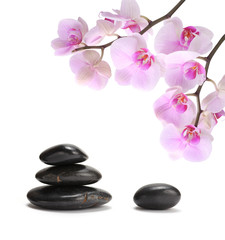 Obraz na płótnie Canvas black stones and pink orchid flower