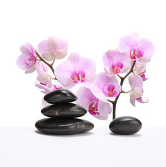 Obraz na płótnie Canvas czarne kamienie i różowy kwiat orchidei