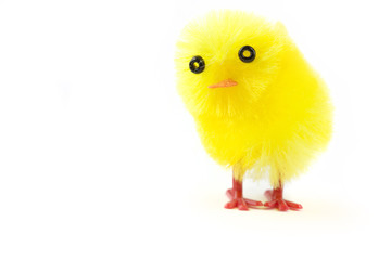 Fototapeta premium easter chick