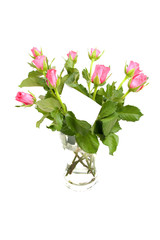 Pink roses and empty memo card over white background