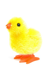 Little easter chicken over white background