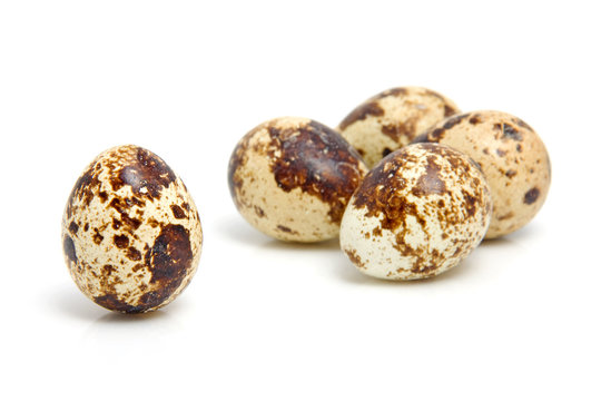 Some eggs from peewit bird over white background