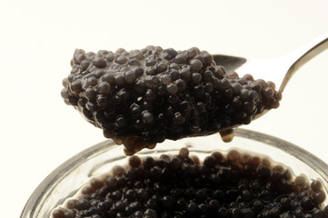 Caviale nero