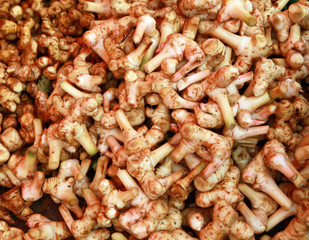 galangal spices