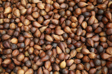 snake fruit