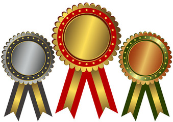 Gold, silver and bronze awards (vector)