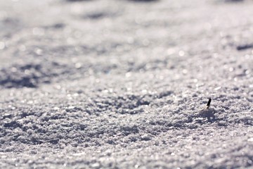 Obraz premium Schnee