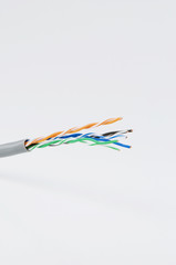Network cable