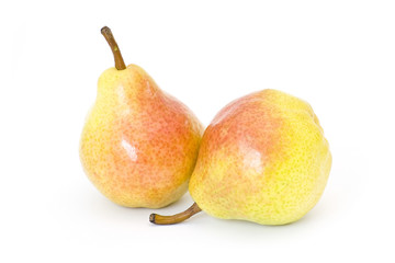 fresh pears