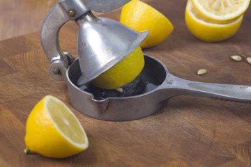 Fruchtpresse