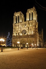 Obraz na płótnie Canvas Katedra Paris