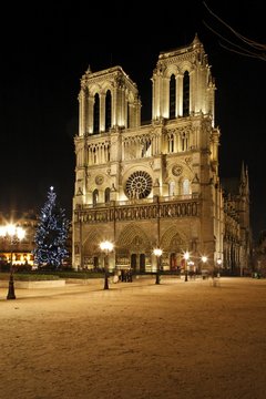 La cathédrale de Paris
