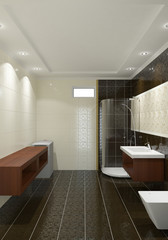 Modern interior of bathroom