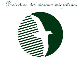protection des oiseaux