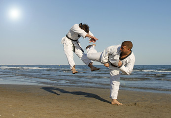 taekwondo, kickboxing