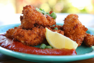 Fried Calamari