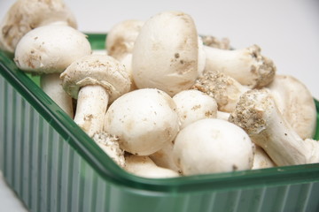 champignons de paris