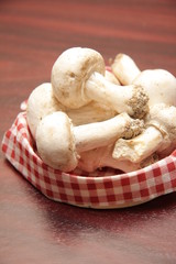 champignons de paris