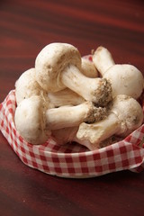 champignons de paris