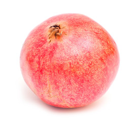 Pomegranate isolated