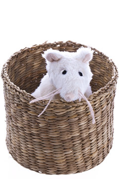 Stoffmaus im Korb