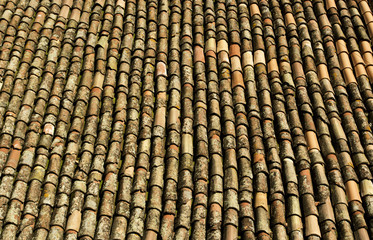 Tetto Con Tegole Vecchie 01 03 10