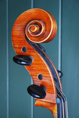 Cello Schnecke Nahaufnahme