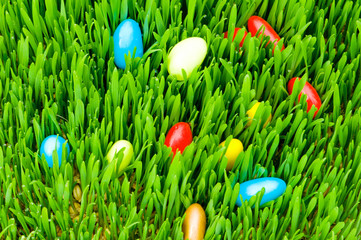 Easter concept - colourful eggs in green glass