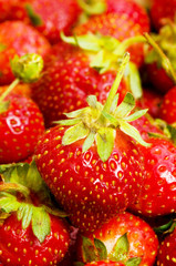 Lots of strawberries arranged as the background