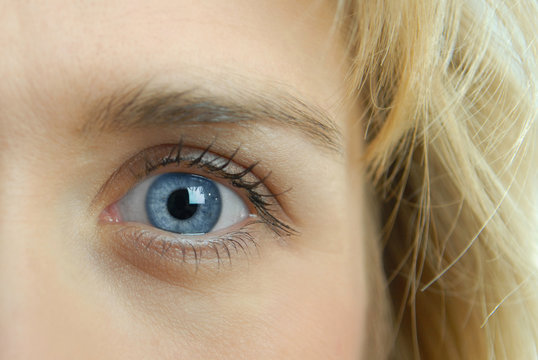 Auge, blau