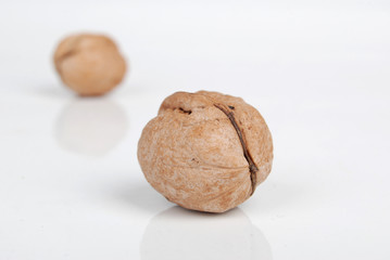 walnut