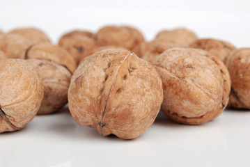 walnut