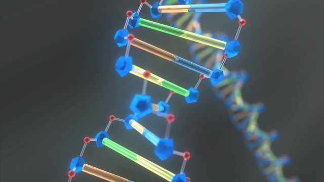 3D DNA molecule animation