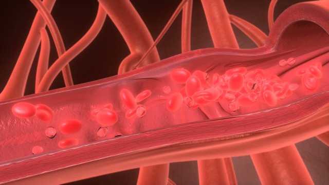 3D Red cell flowing in blood vessel - HD, NTSC, PAL
