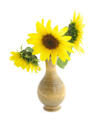 sunflowers in vase on white
